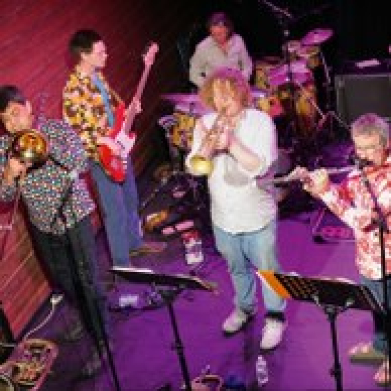 R&ecirc;ve d&rsquo;El&eacute;phant Orchestra &lsquo;Jungle Binche&rsquo;
