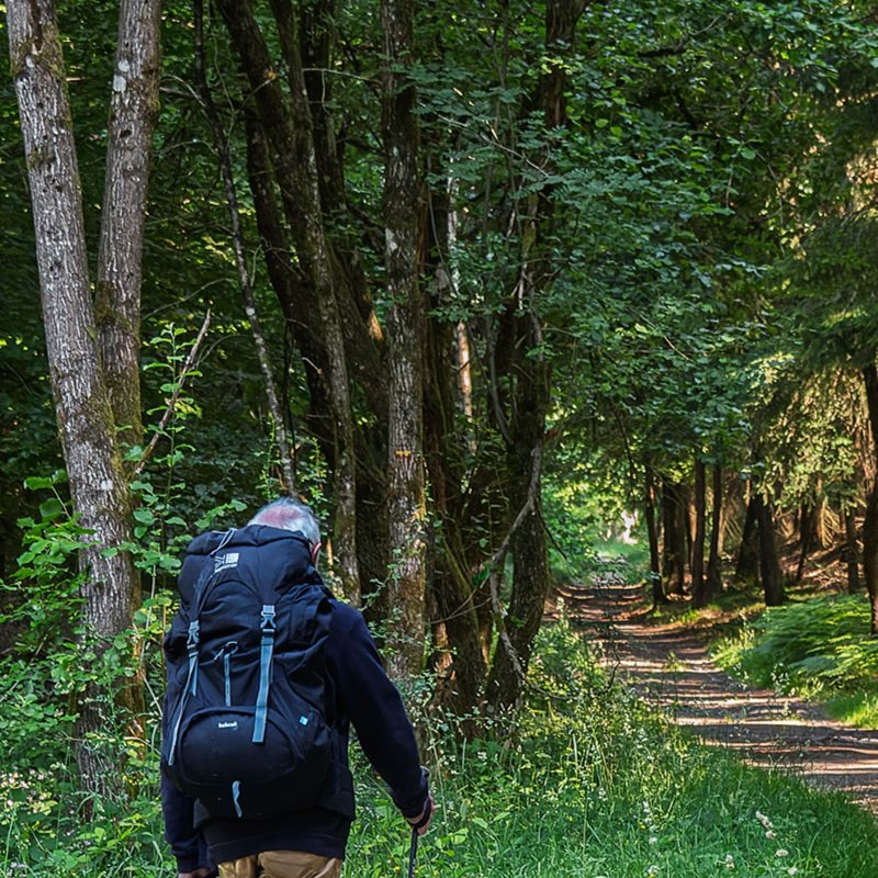 Chemin faisant | photos de Guy Maillard