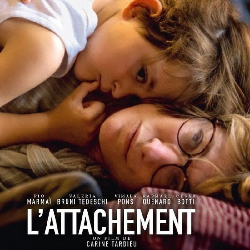 L'attachement - Du roman à l'é...
