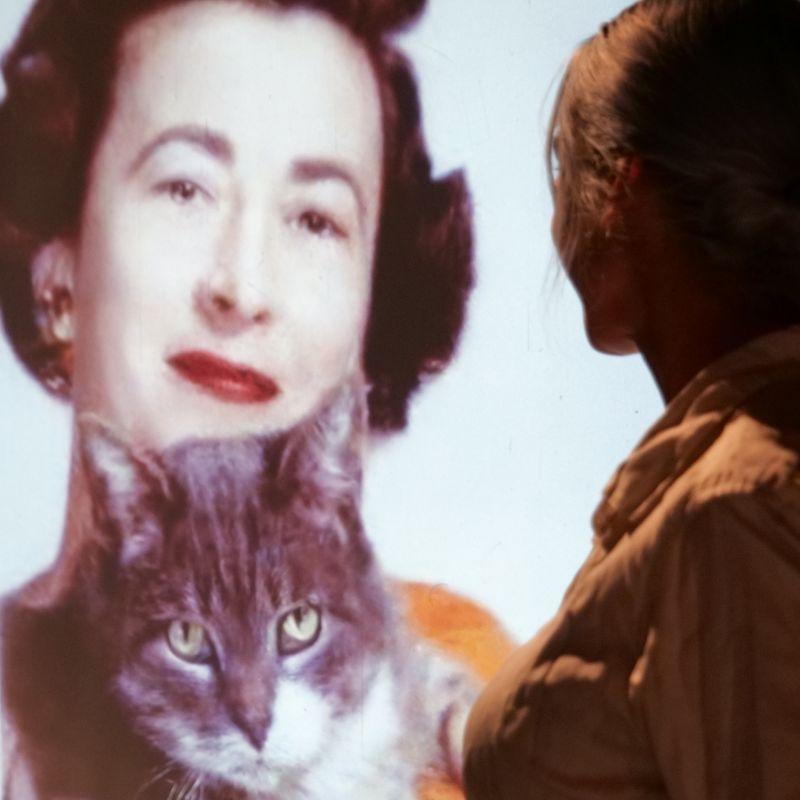 BIOGRAPHIES ANIMALES
