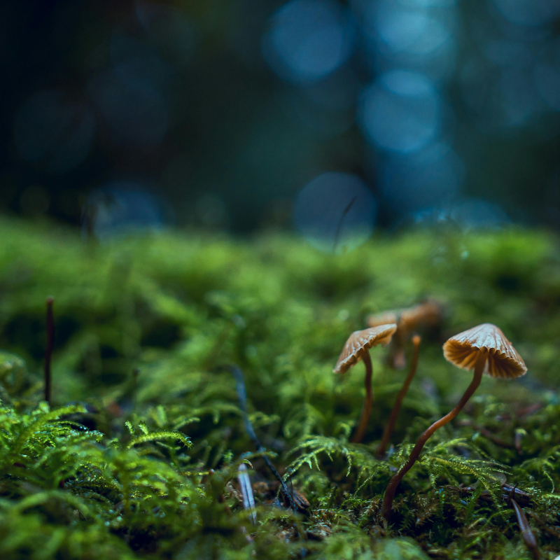 Cric Crac, on met la terre en vrac (6+)