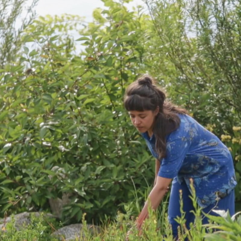Le Printemps des jardiniers