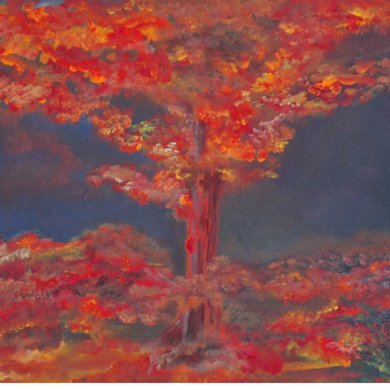 Sabine De Jonghe -  Exposition h...