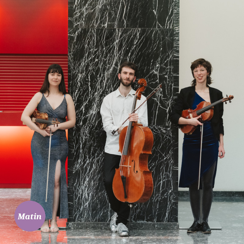 Ensemble Satellite