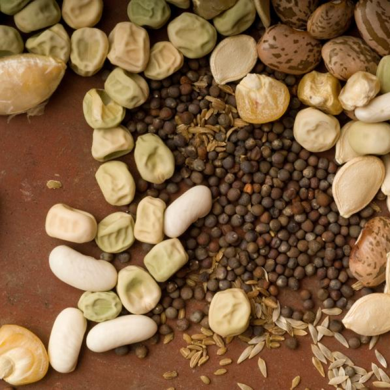 Conférence - le B.A. - BA des s...