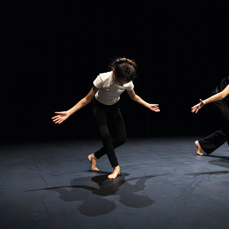 Ensue&ntilde;o Colectivo | Concert en mouvement