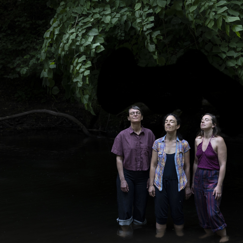 A.M.E (Aur&eacute;lie Charneux, Marine Horbaczewski, Eve Beuvens)