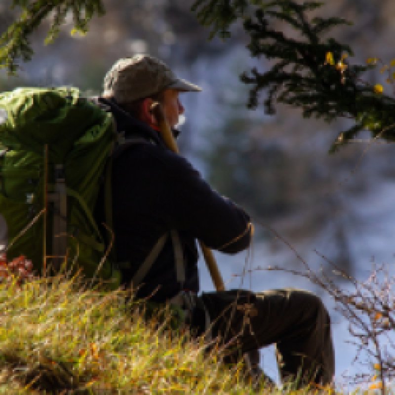 Vivre avec les loups