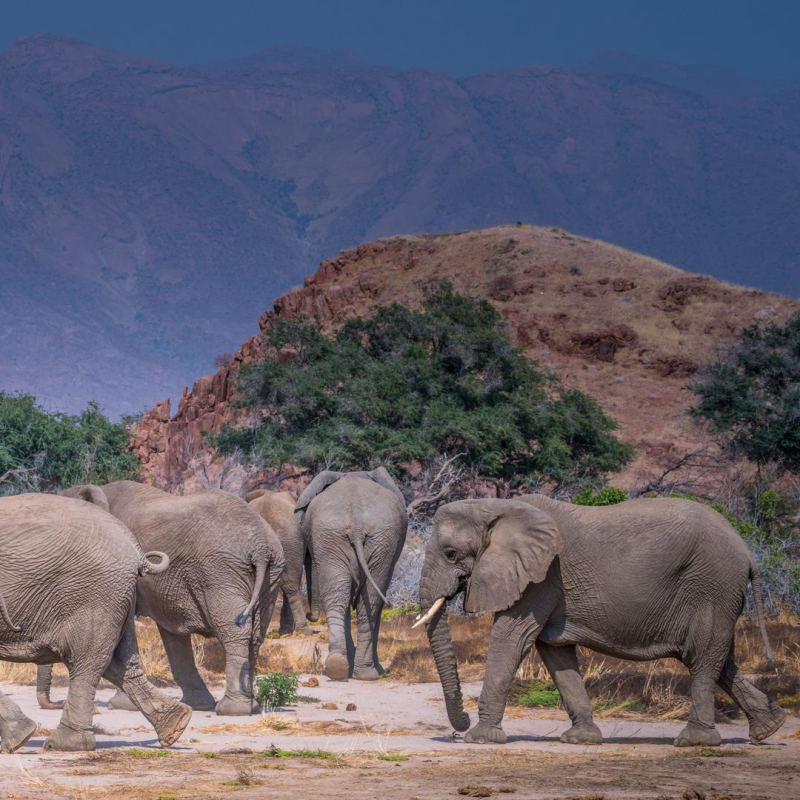 Namibie, exceptionnelle par nature
