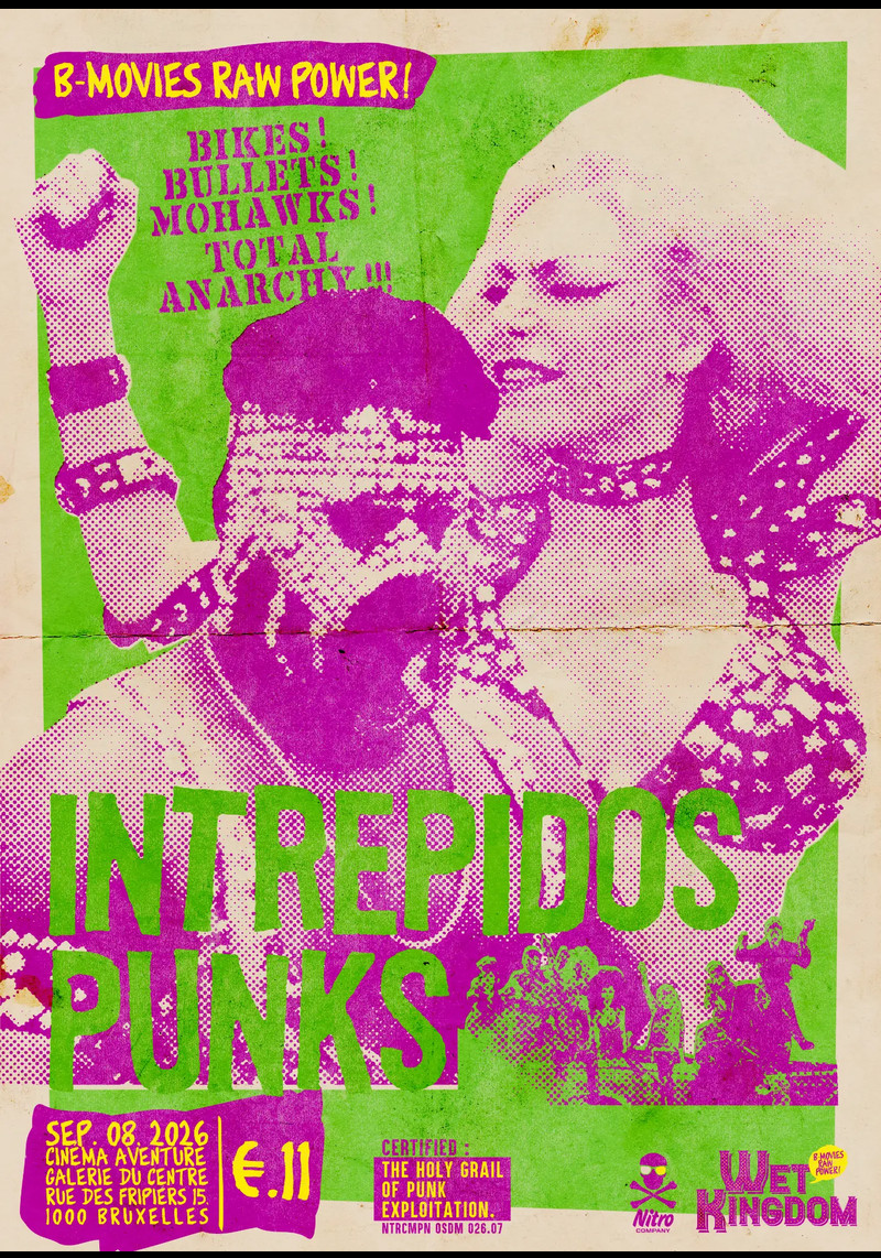 Intr&eacute;pidos Punks