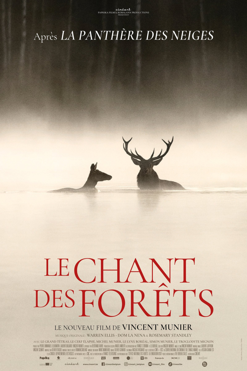 Affiche Le Chant des Forêts