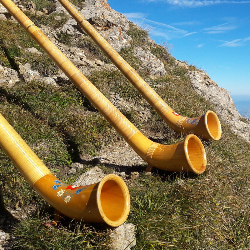 Cors des Alpes et orgue