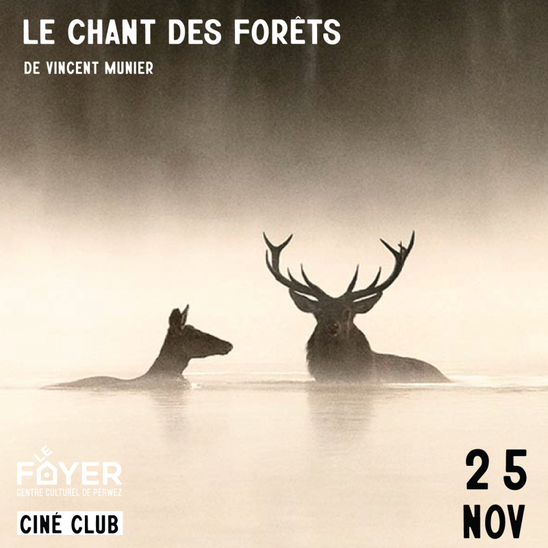Ciné club -  Le chant des forê...