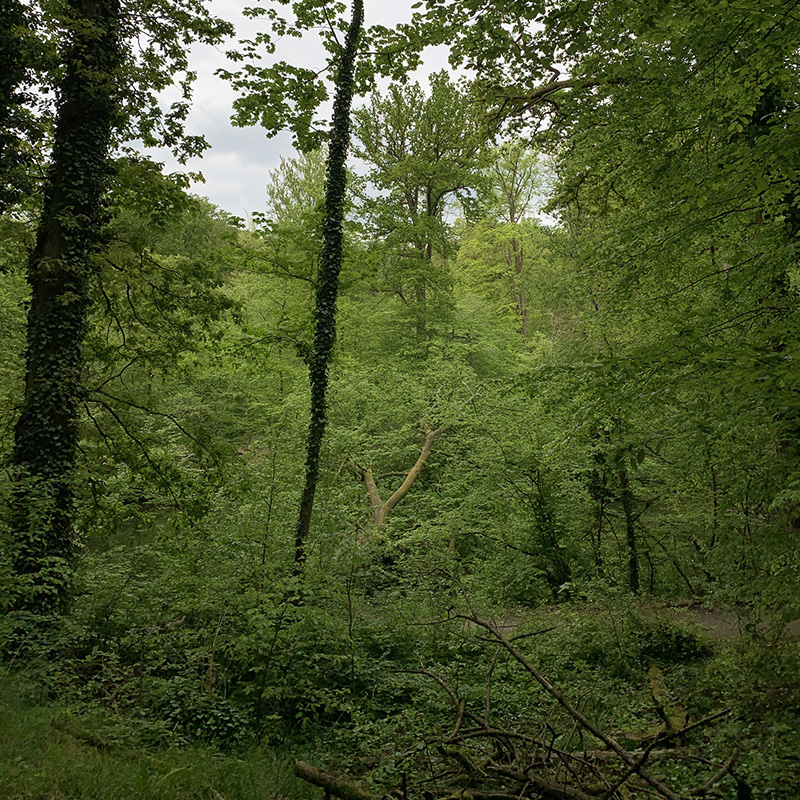 REMAINS