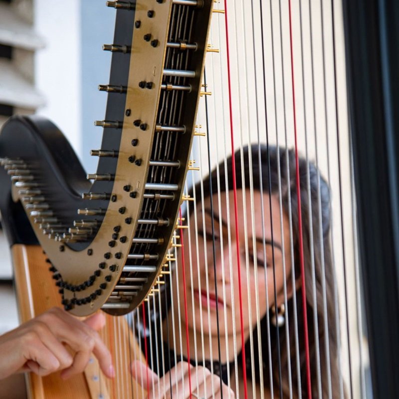 Chlo&eacute; Delvenne | concert de harpe