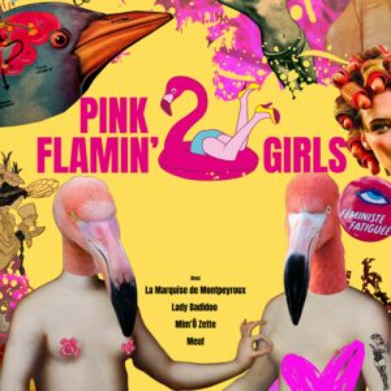 Bal au Centre : Pink Flamin' Girls