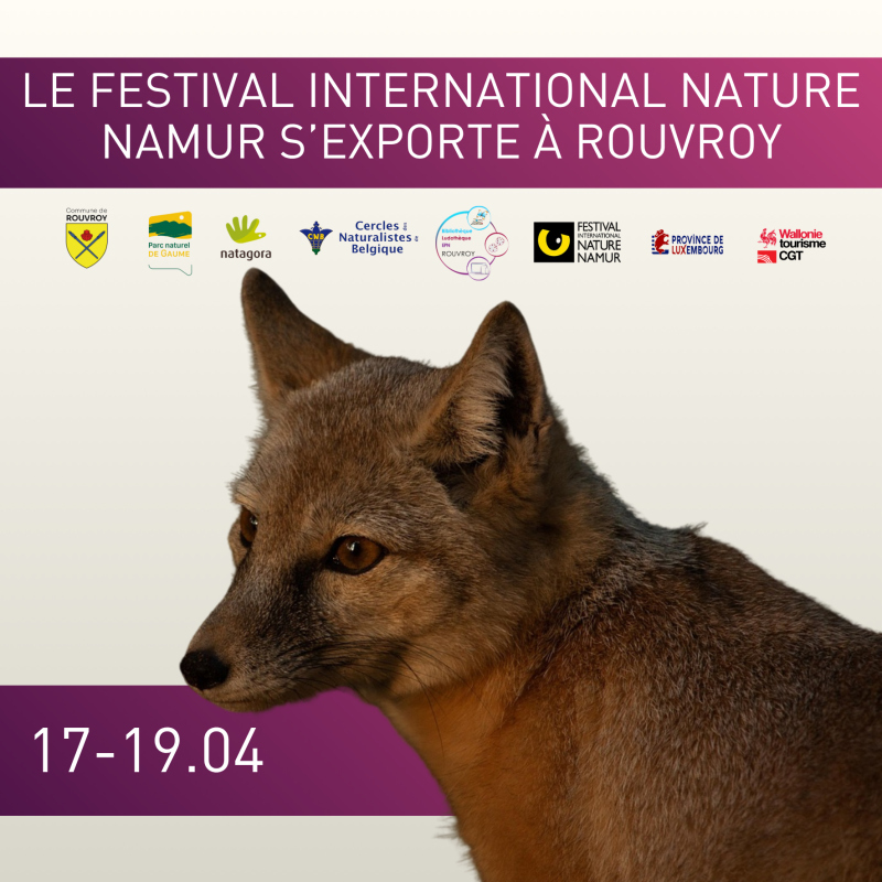 Atelier construction de ruchettes à bourdons