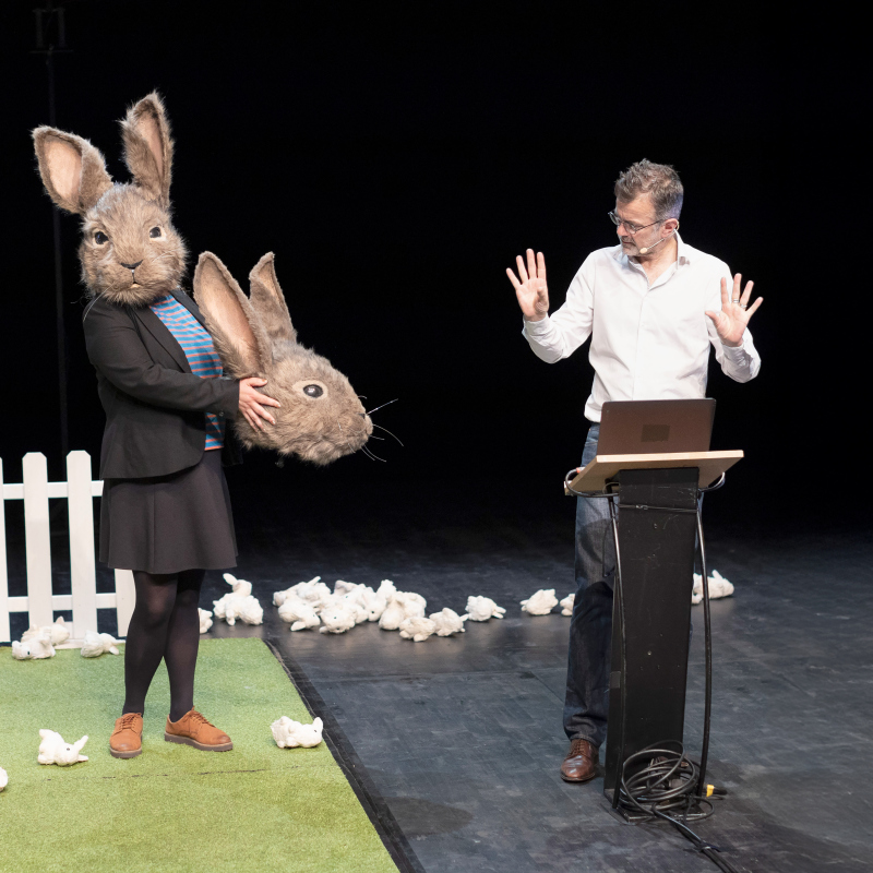 Le probl&egrave;me lapin - &agrave; partir de 12 ans