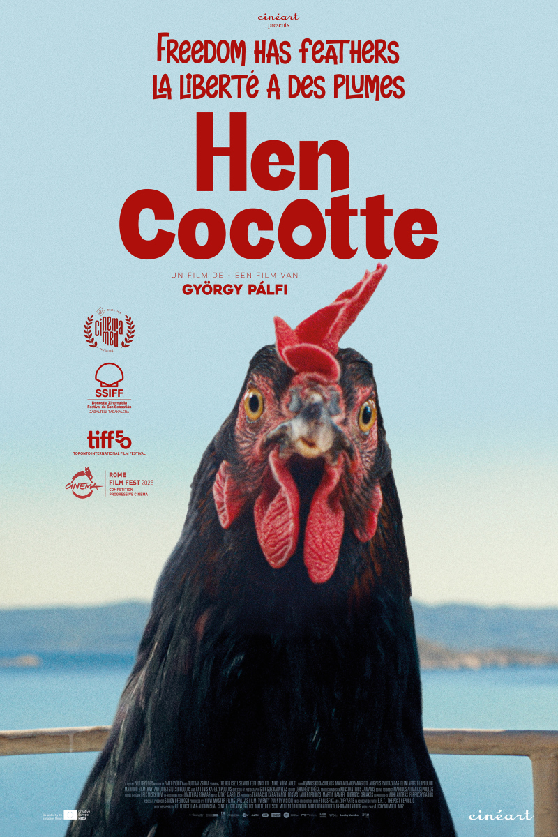 Cocotte