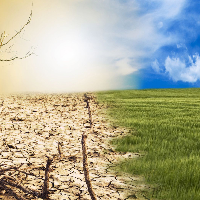Climat : entre fake news et réalité, rétablissons les faits !
