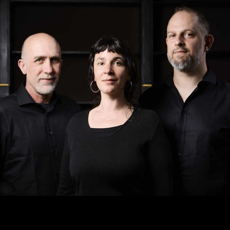 BRÉSIL : TRIO MISTURADO & GUESTS