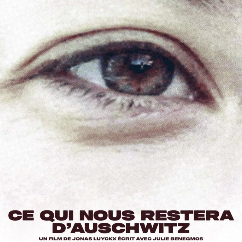 Mois du doc - "Ce qui nous restera d'Auschwitz"