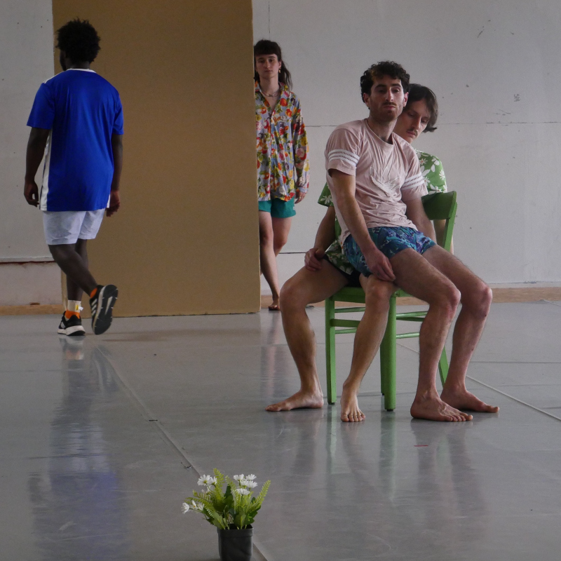 Le Margherite - Erika Zueneli