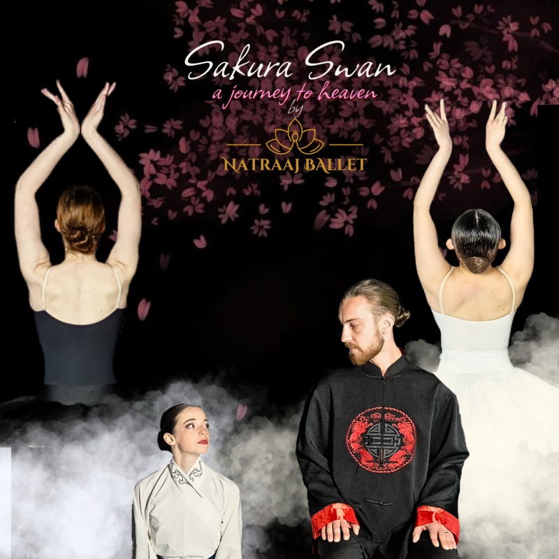 Sakura Swan