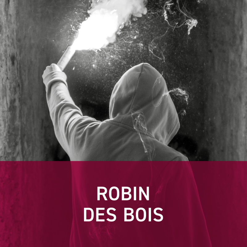 ROBIN DES BOIS