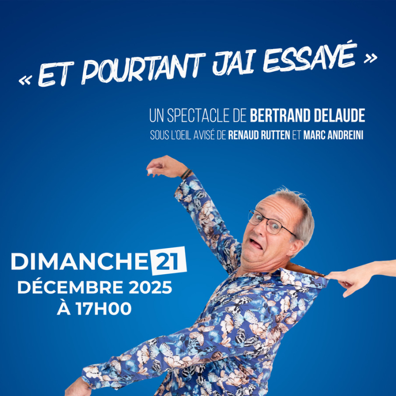 Et pourtant j'ai essay&eacute; / Bertrand Delaude