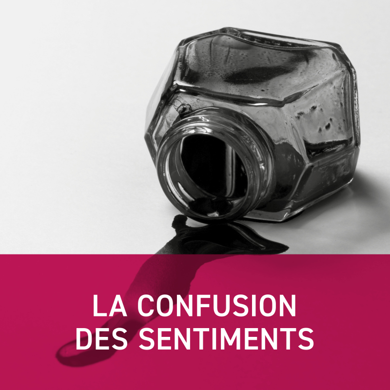 LA CONFUSION DES SENTIMENTS