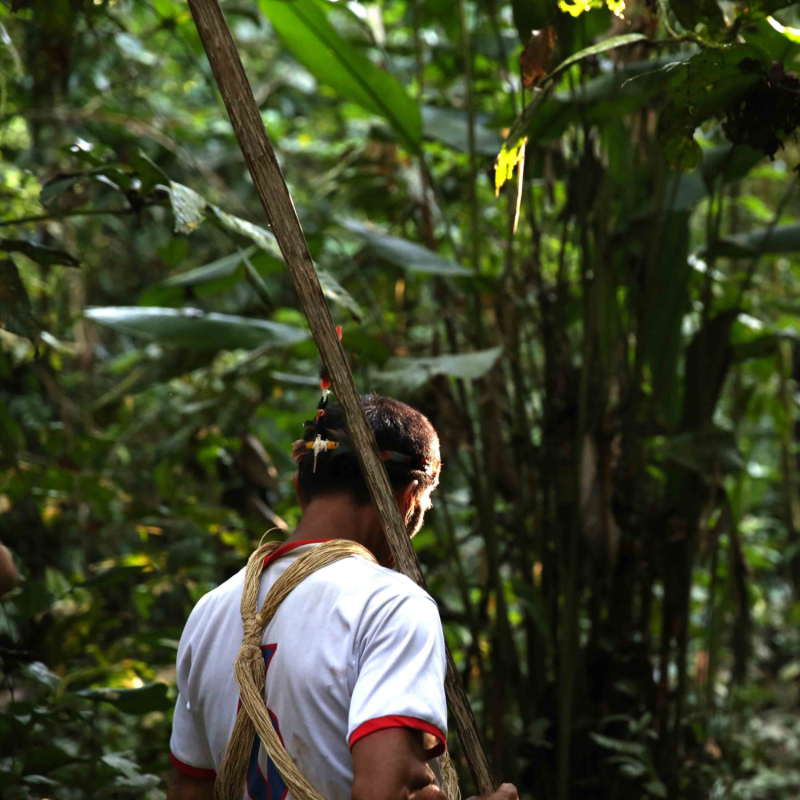 Waorani • à l’orée d’un nouveau monde