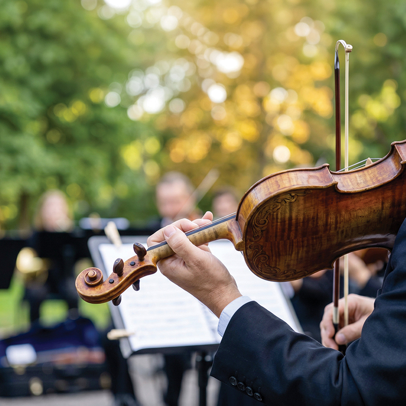 Bain de for&ecirc;t musical