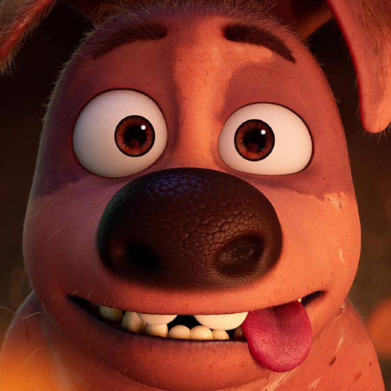 Mochy, le chien le plus moche du monde