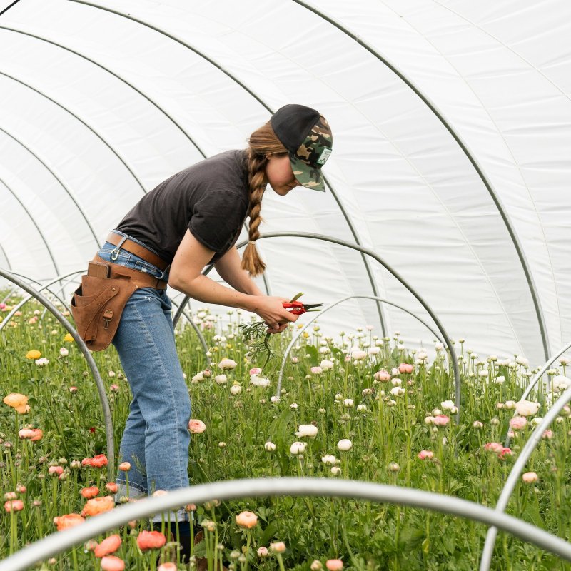 Femmes & Agriculture