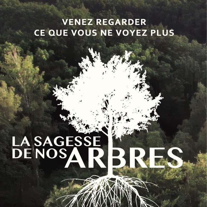Mois du Doc