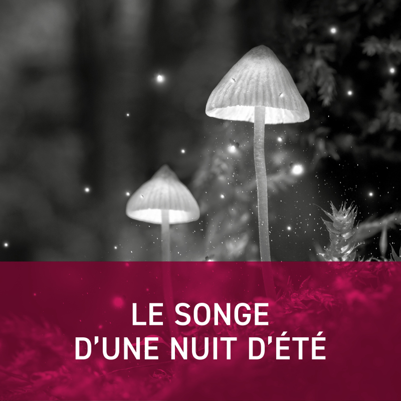 LE SONGE D'UNE NUIT D'&Eacute;T&Eacute;