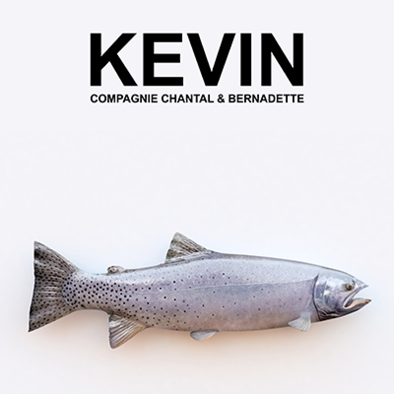 Kevin - Théâtre dès 12 ans