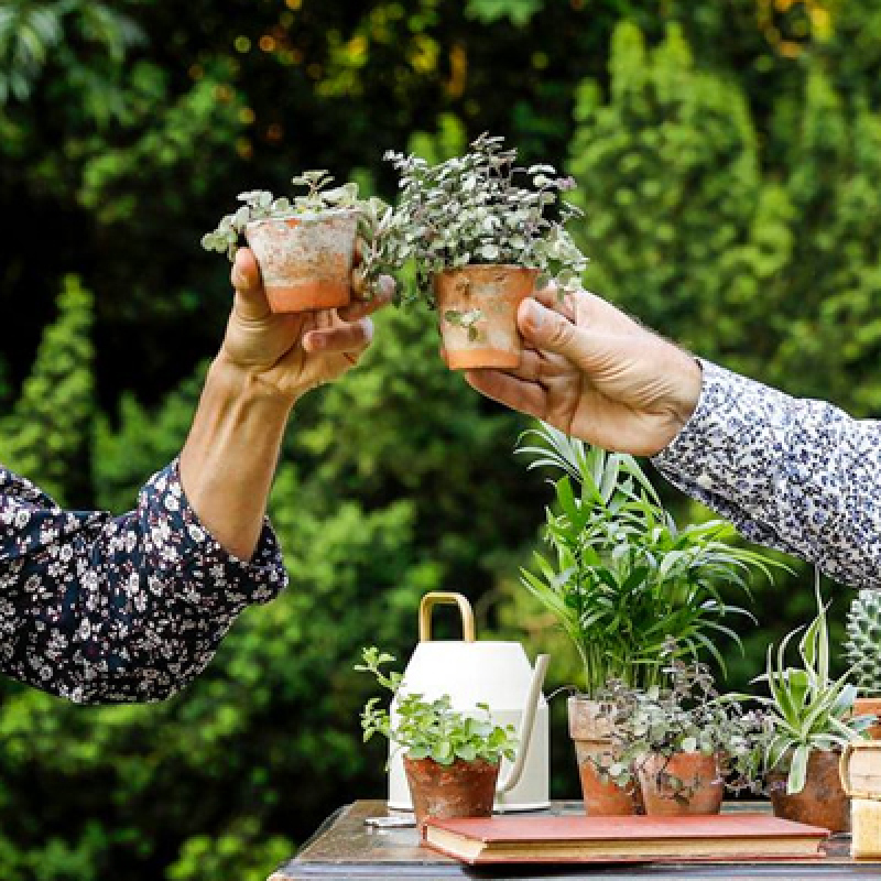 Il faut cultiver son jardin - Théâtre